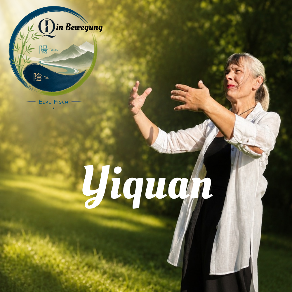 Yiquan Kurs